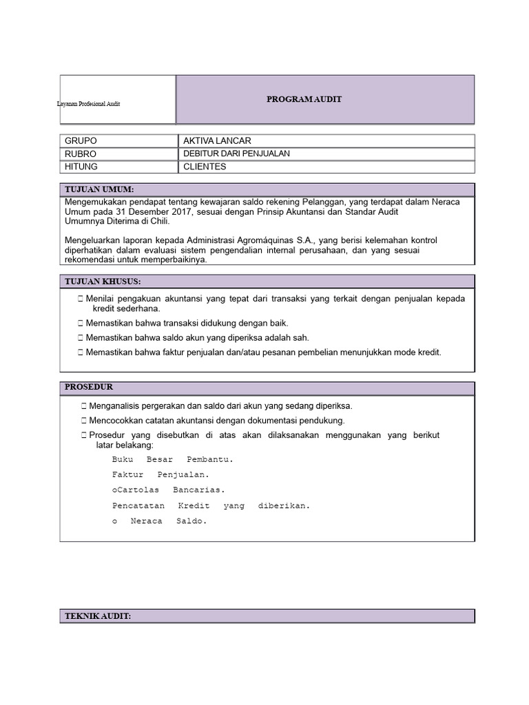Contoh Program Audit | PDF