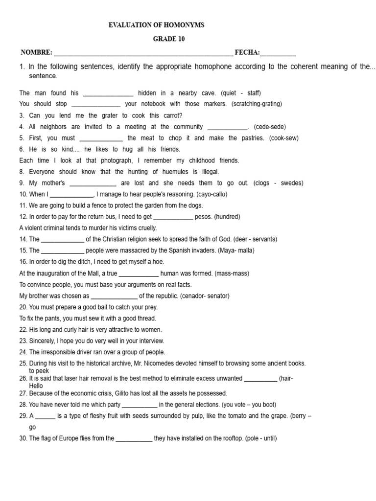 Homonym Evaluation for Grade 10 Students | PDF
