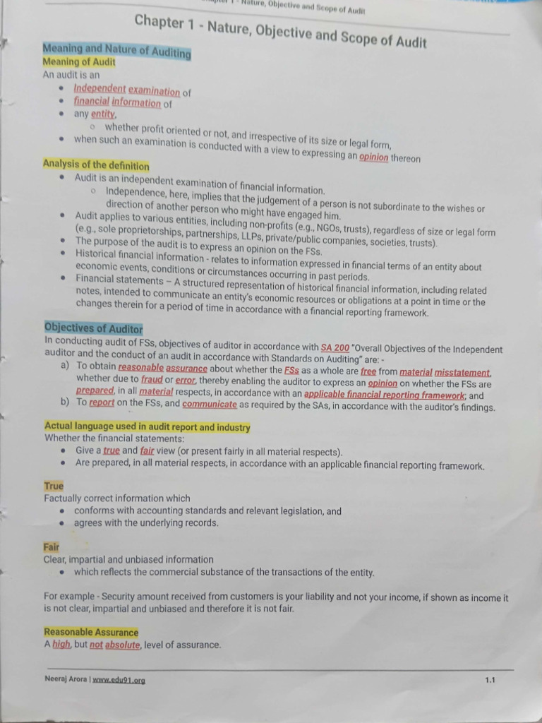 Chapter 1 Audit | PDF