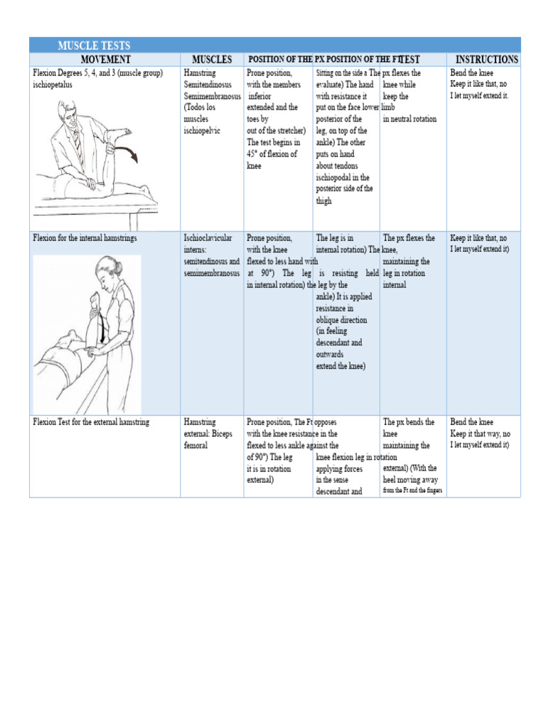 Muscle Testing Techniques for Hamstrings | PDF | Knee | Anatomical ...