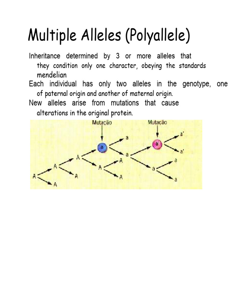 Multiple Alleles (Polyalelia) | PDF | Blood Type | Clinical Pathology