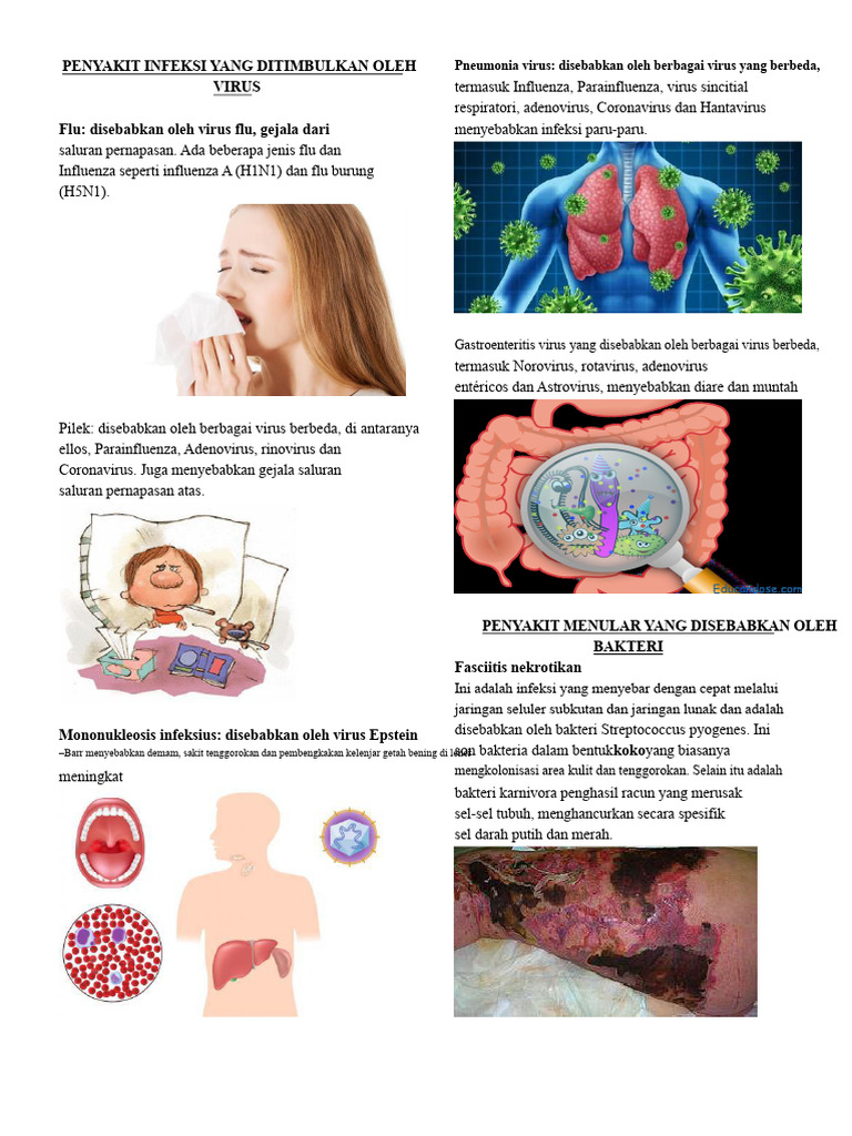 Penyakit Infeksi: Virus, Bakteri, Helminth | PDF