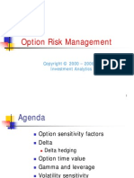 Advanced Option Risk Management