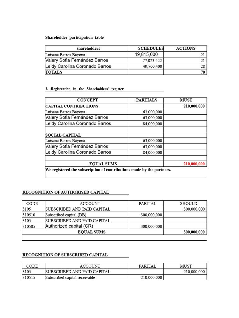 Shareholder Capital Contributions Summary | PDF | Receipt | Taxes