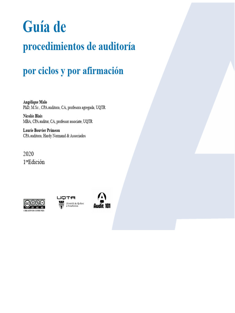 Guía de Procedimientos de Auditoría (Por Ciclos y Por Afirmación) | PDF ...