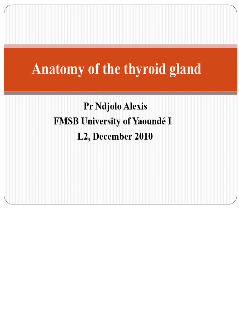 Thyroid Gland Anatomy Overview | PDF | Thyroid | Human Anatomy