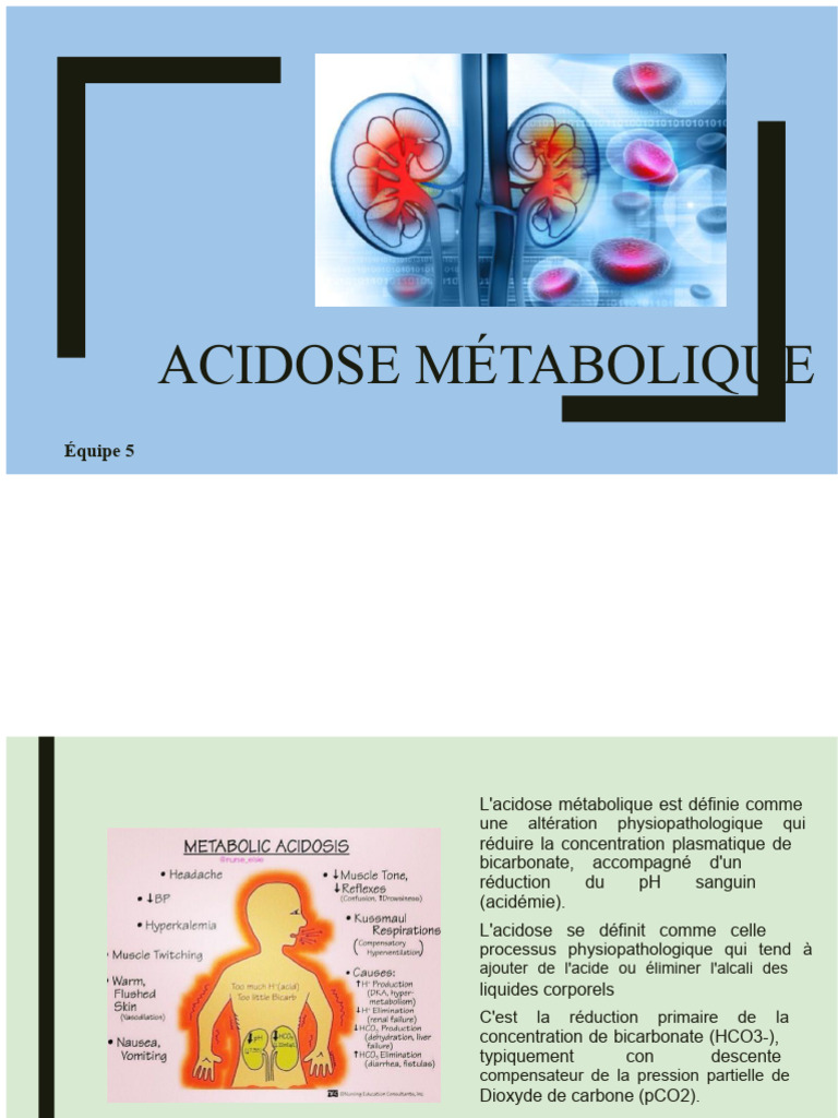 Comprendre l'acidose métabolique et ses causes | PDF | Physiologie