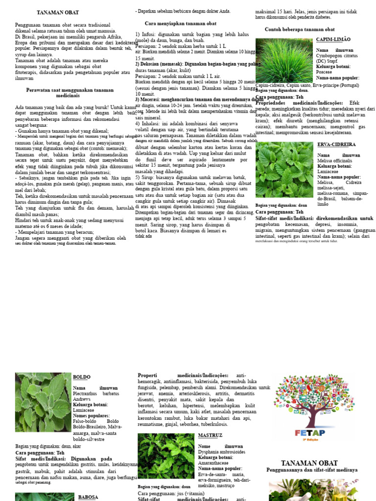 Folder_FETAP_TANAMAN OBAT | PDF