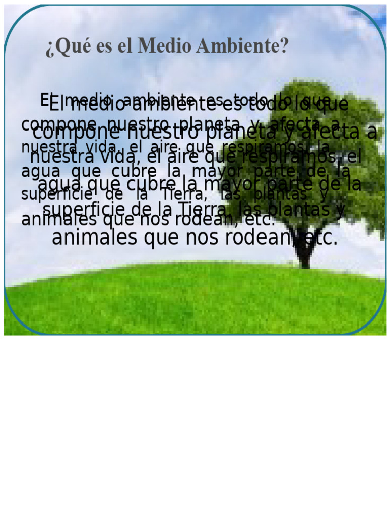 Importancia del Medio Ambiente y Su Protección | PDF | Entorno natural ...