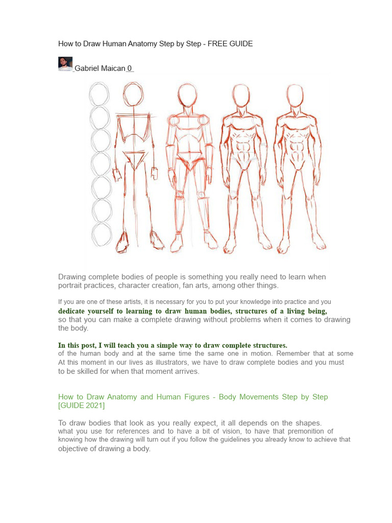 How To Draw Anime Anatomy Step By Step Anatomy People