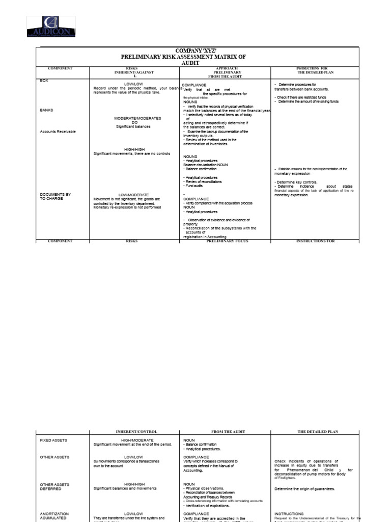 Audit Risk Assessment Matrix Guide | PDF | Audit | Risk