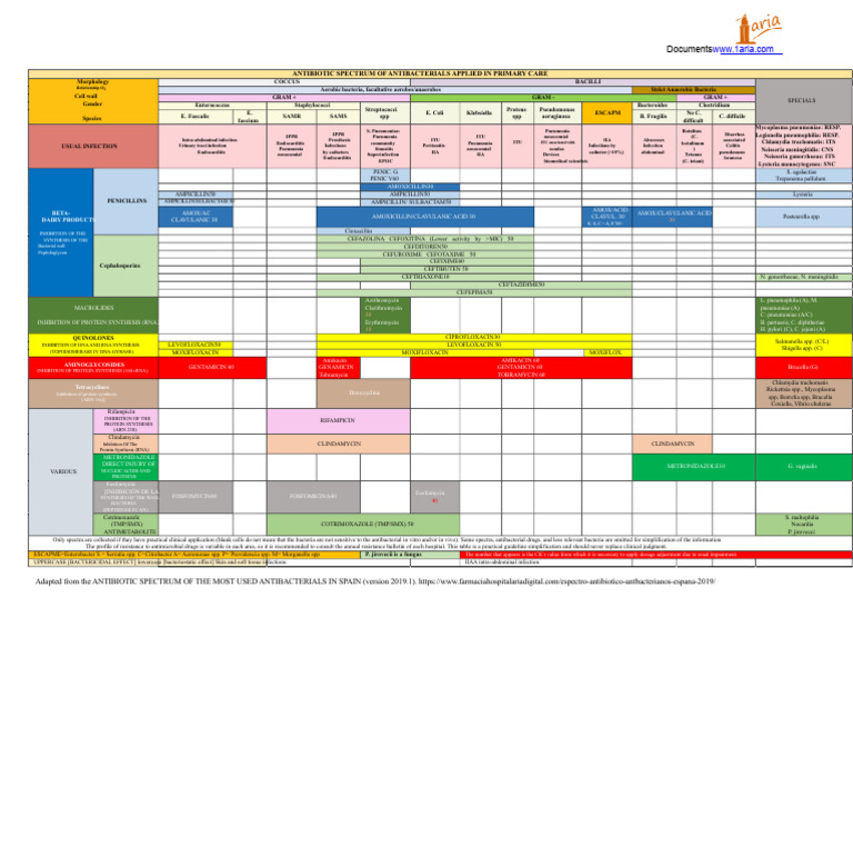 Antibiotic Spectrum in Primary Care | PDF | Gram Negative Bacteria ...