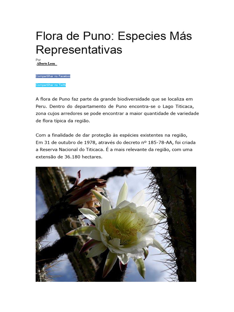 Flora de Puno: Espécies Notáveis | PDF | Flores | Biodiversidade
