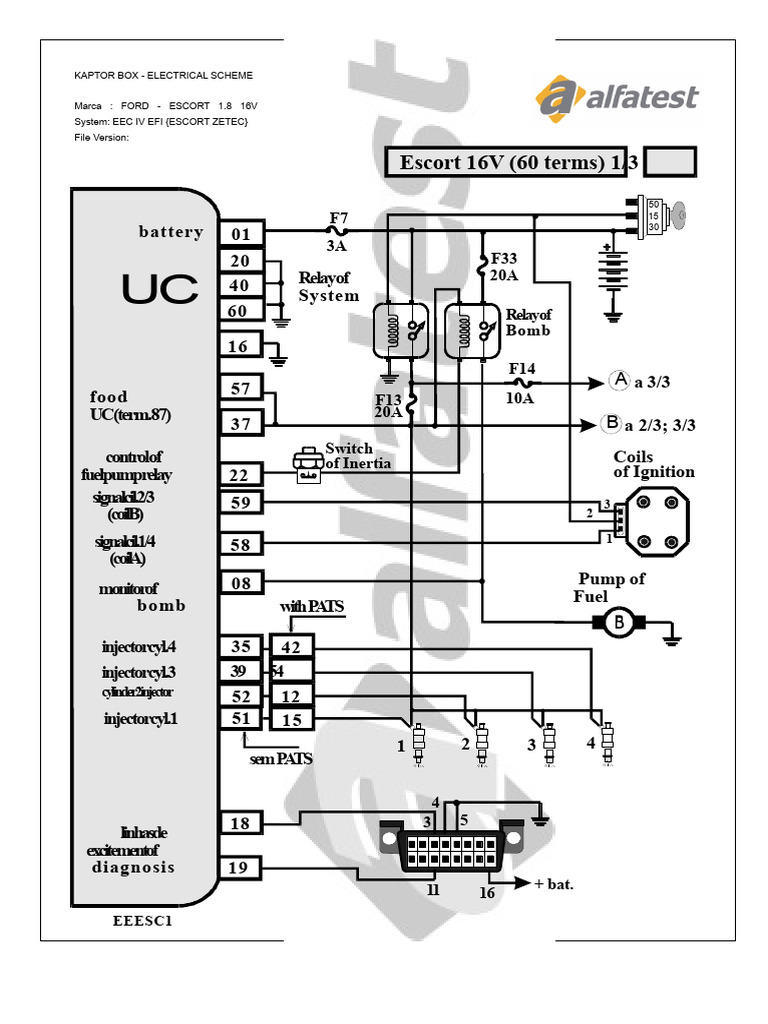Pinout Ford Escort | PDF | Fuel Injection | Systems Engineering
