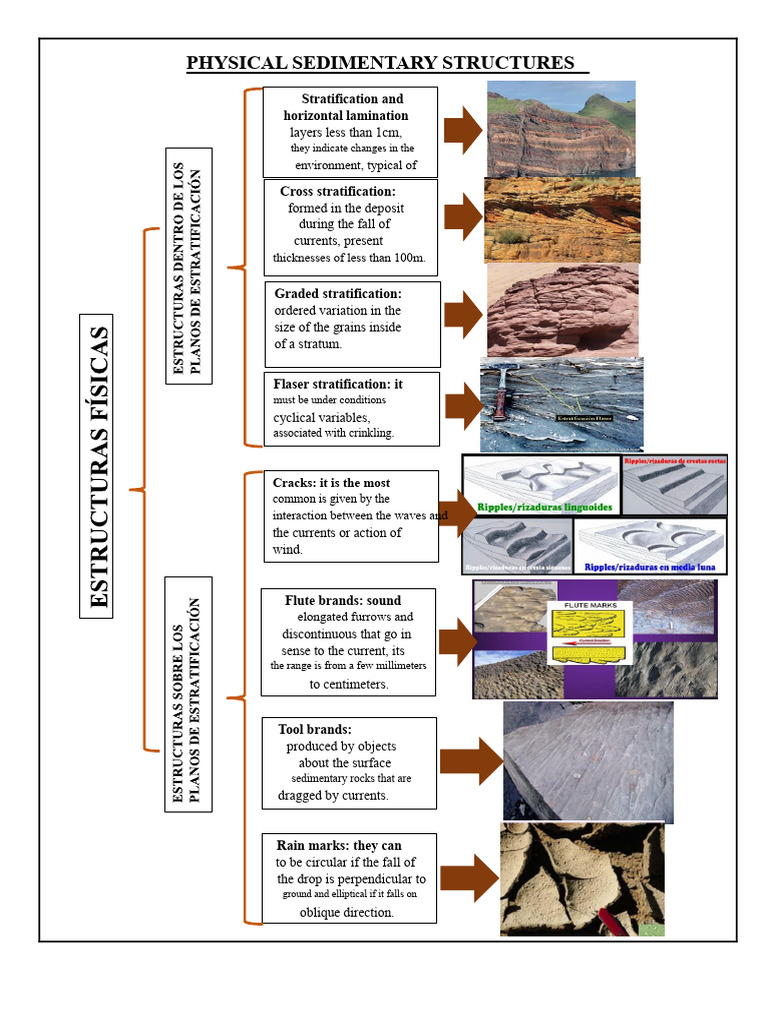 Sedimentary Structures Explained | PDF | Sedimentary Rock | Geology