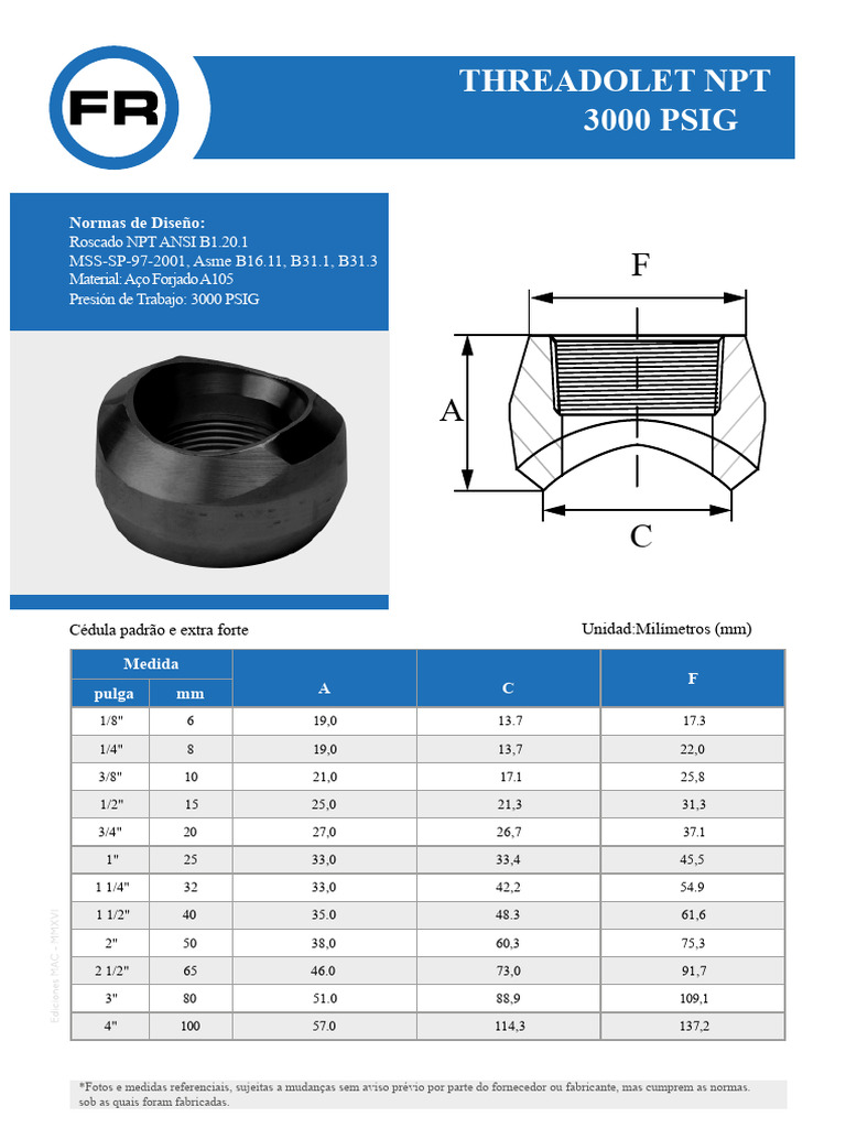 Threadolet NPT 3000 PSIG: Especificações | PDF