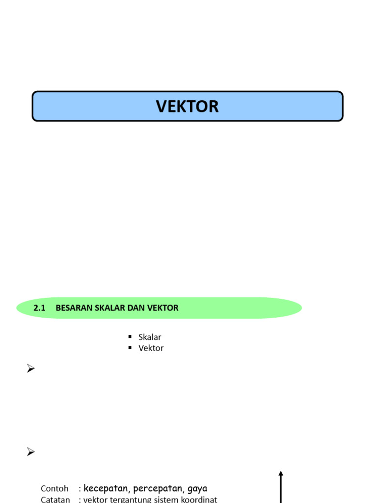 Vektor | PDF