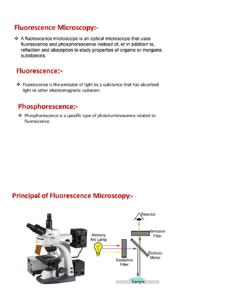 Microscope 2 | PDF