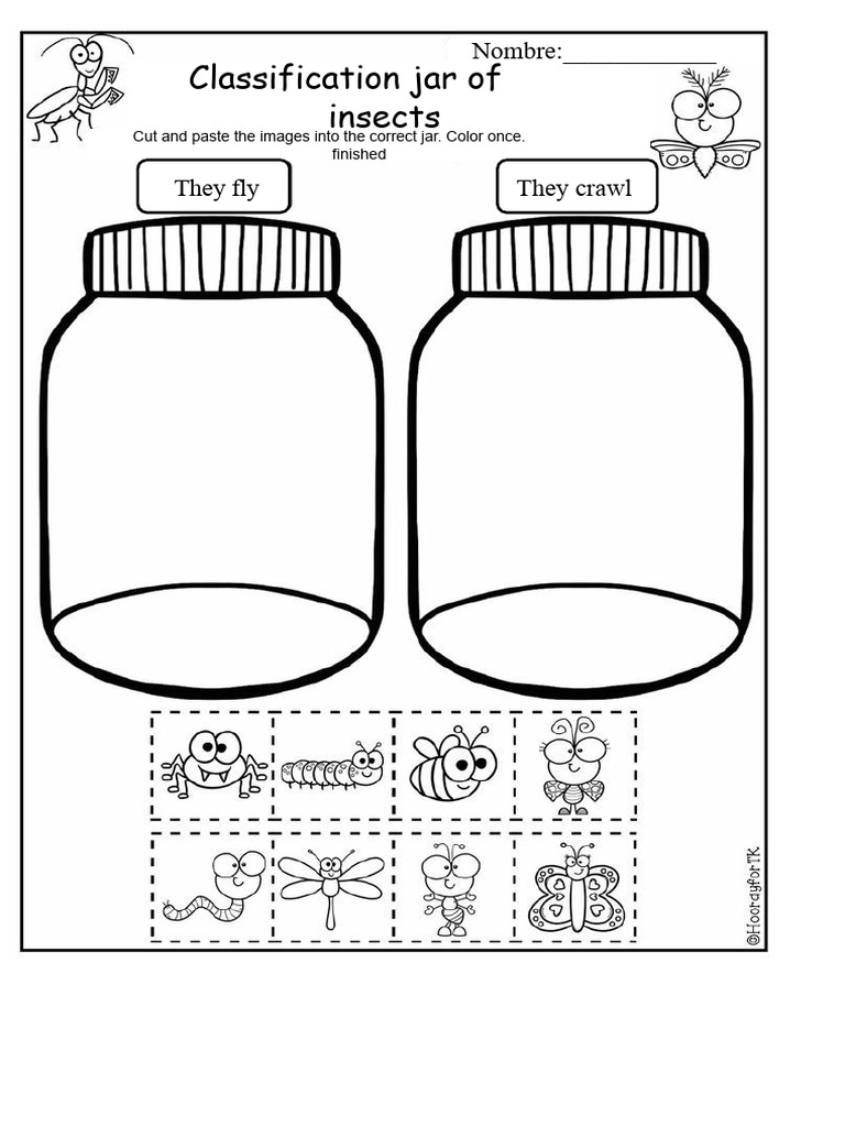 Insects | PDF