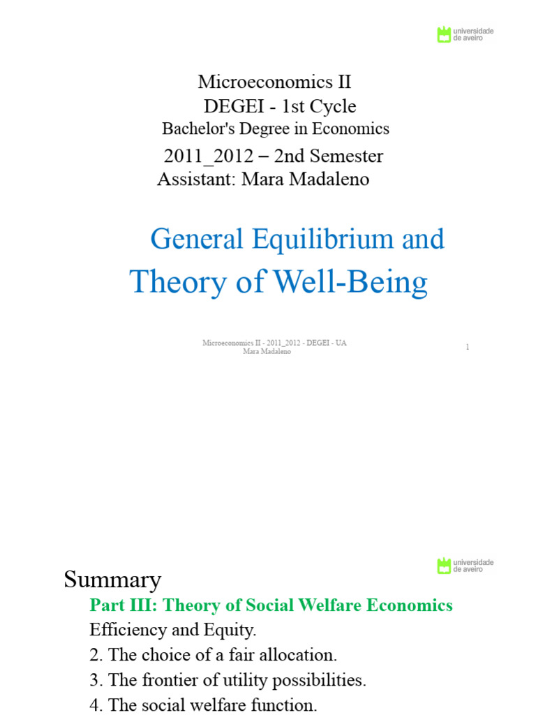 Microeconomics II: Welfare Economics Insights | PDF | Welfare Economics ...