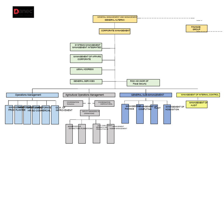 Danec Organizational Chart | PDF | Economies | Leadership
