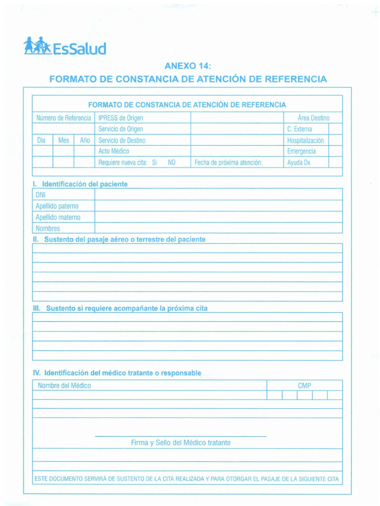 Annex Format 14 Essalud | PDF