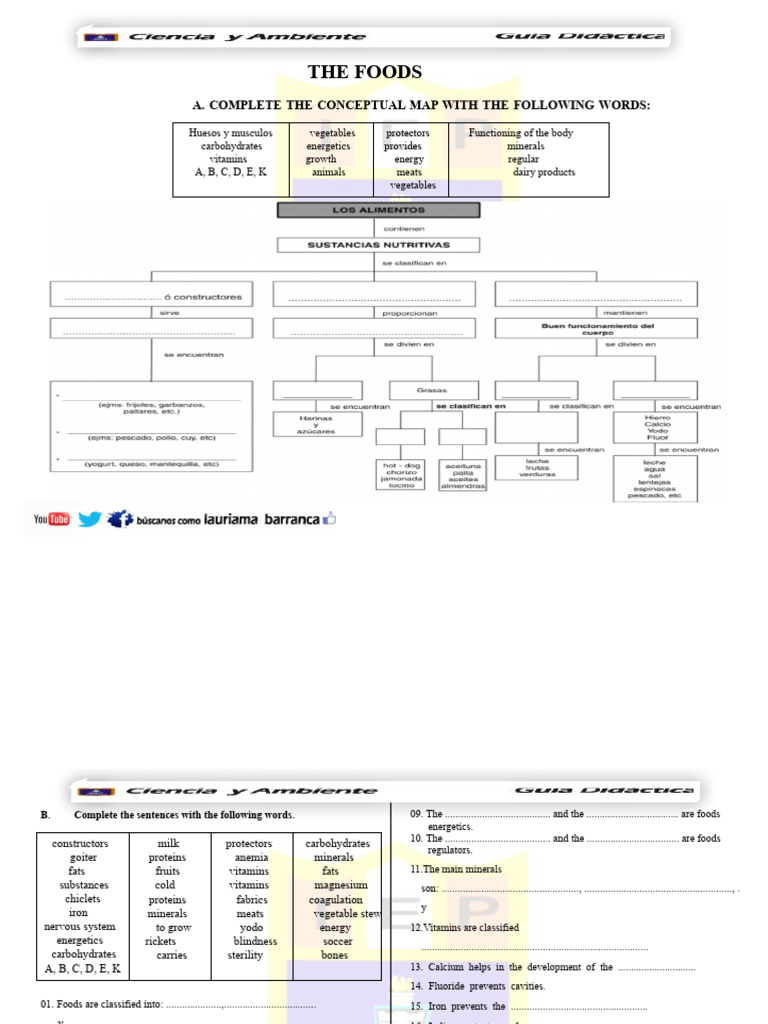 Nutritional Food Classification Guide | PDF | Foods | Vitamin