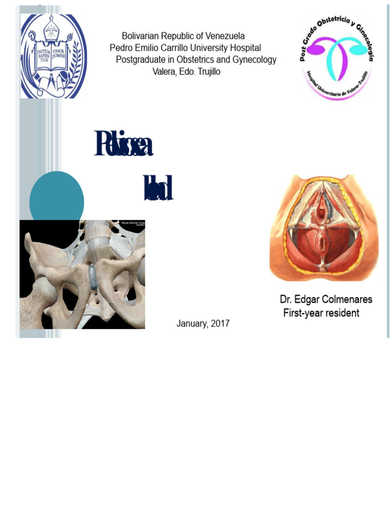 Anatomy and Functions of the Pelvis | PDF | Pelvis | Musculoskeletal System