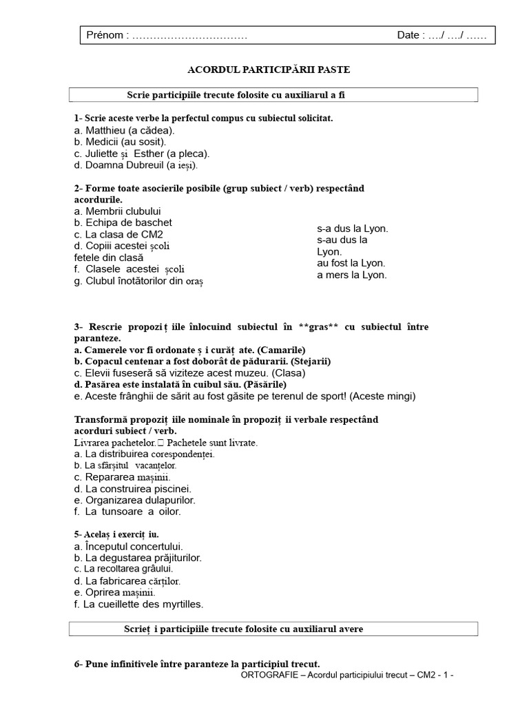 Acordul Participiului Trecut Ex | PDF