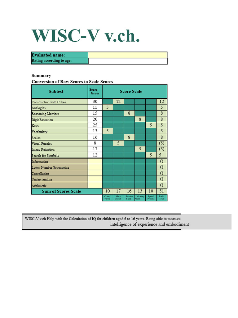 WISC-V - Correction Template Chile | PDF | Mental Processes | Cognition