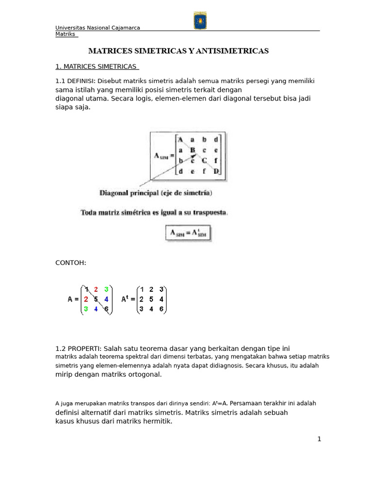 Matriks Simetris dan Antisimetris | PDF
