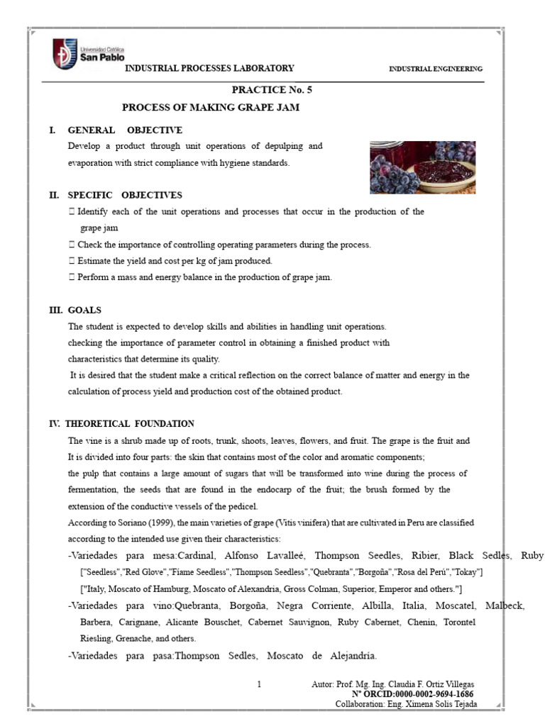 Grape Jam Production Process | PDF | Fruit Preserves | Grape