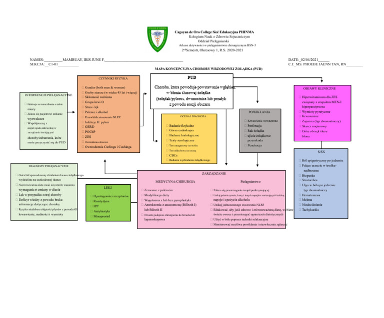 PUD | PDF