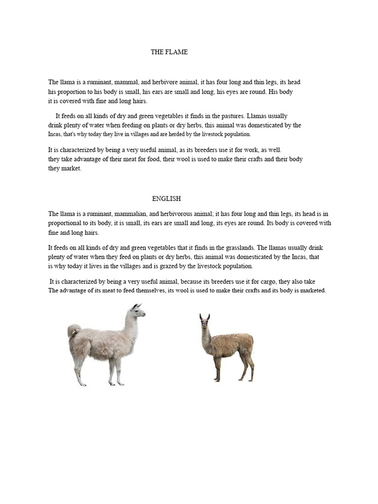 Description of The Llama | PDF