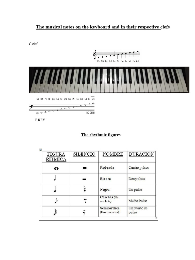 The Musical Notes On The Keyboard and in Their Respective Clefs. | PDF