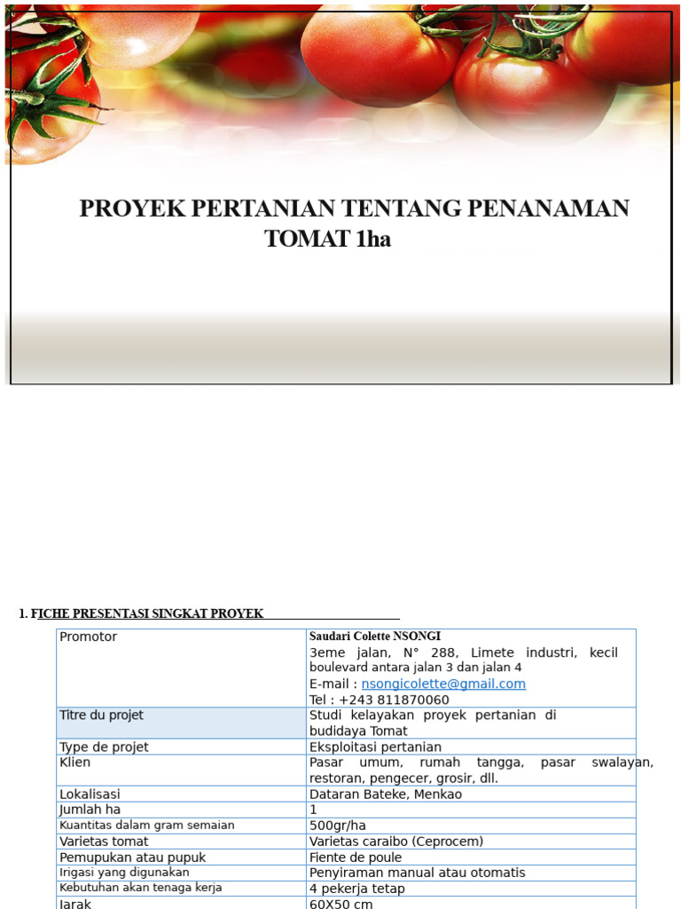 Studi Kelayakan Budidaya Tomat 1ha | PDF
