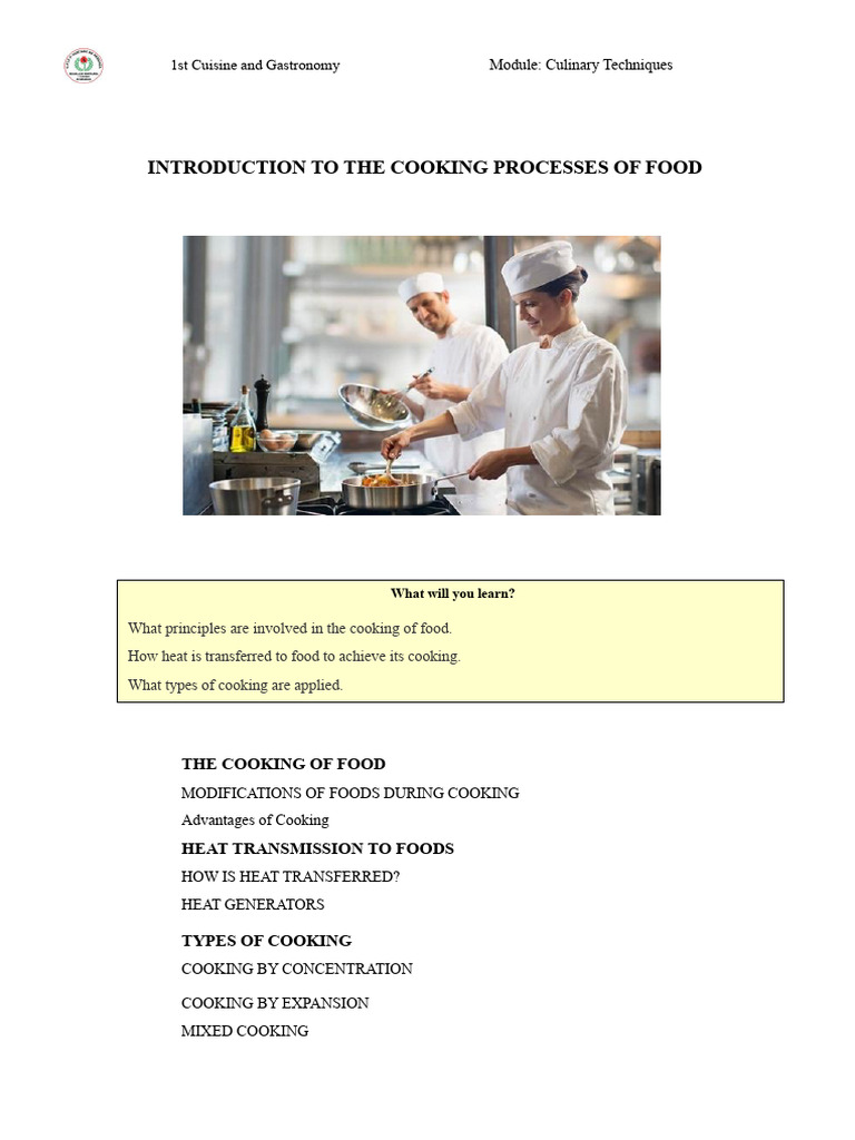 Introduction To Food Cooking Processes | PDF | Cooking | Grilling