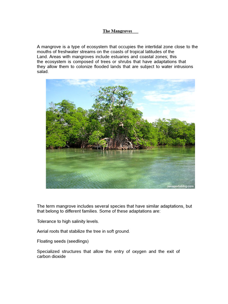 Importance and Threats to Mangroves | PDF | Mangrove | Coast