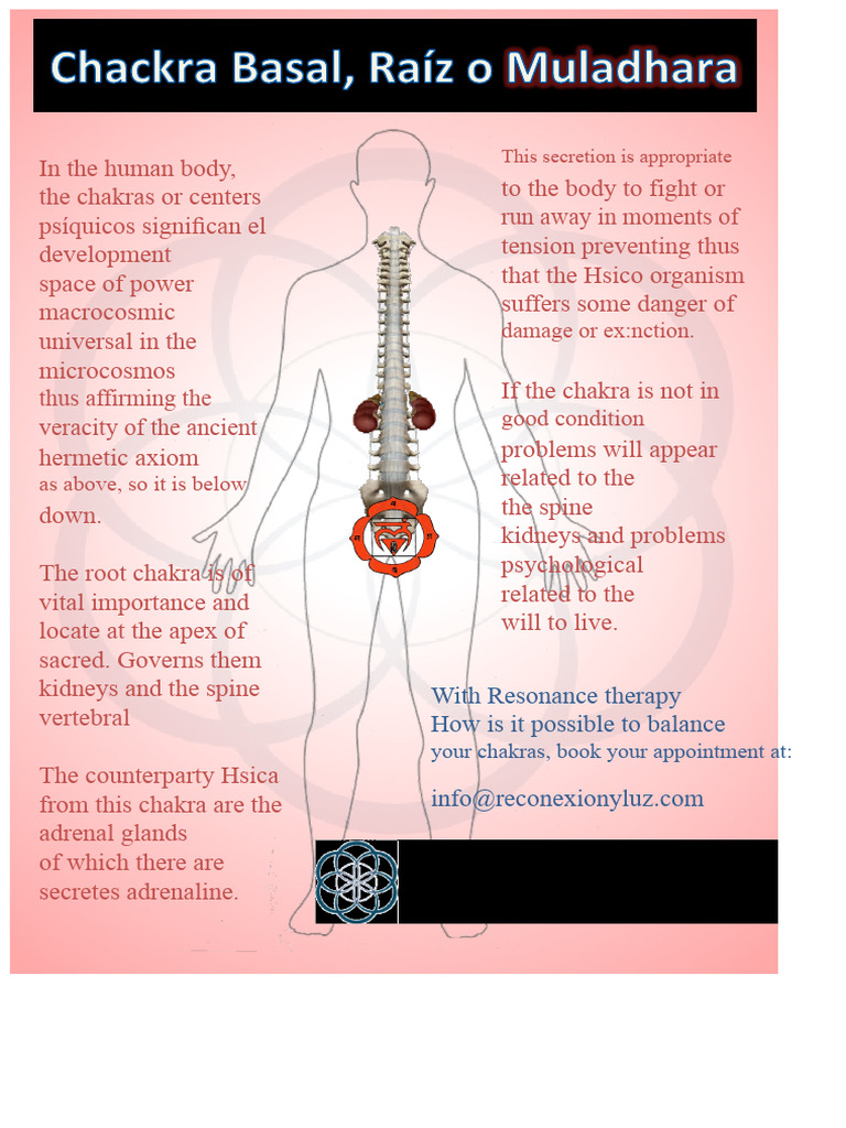 Root Chakra PDF | PDF