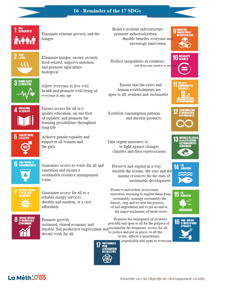 Overview of the 17 Sustainable Development Goals | PDF | Sustainability ...