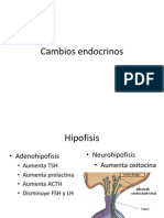 cambios endocrinos