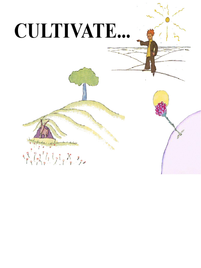 The Essence of Friendship Explained | PDF