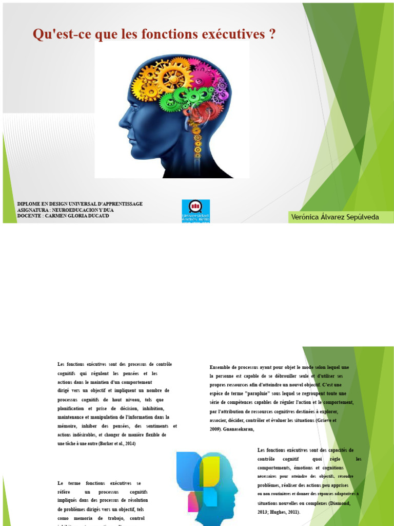 Comprendre les fonctions exécutives PDF Fonctions exécutives — free download