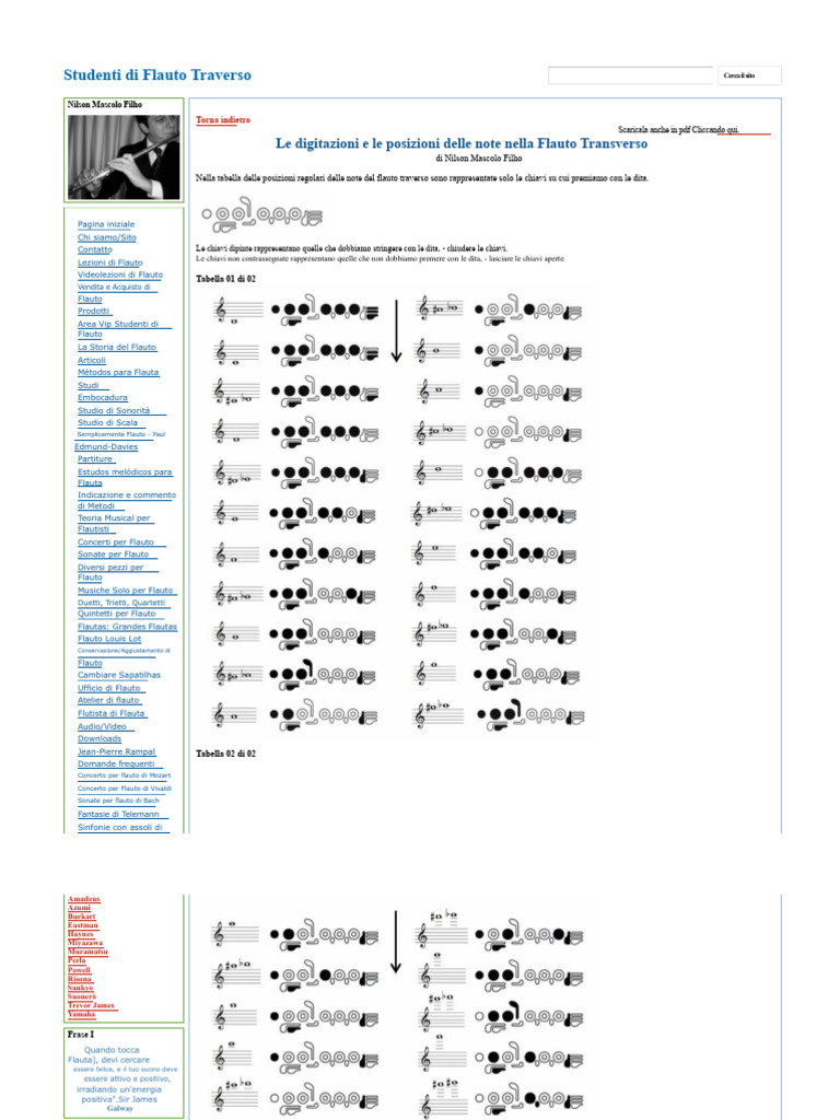 Note Di Flauto Traverso | PDF