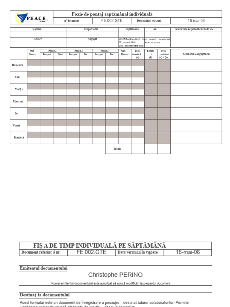 Model de Pontaj | PDF