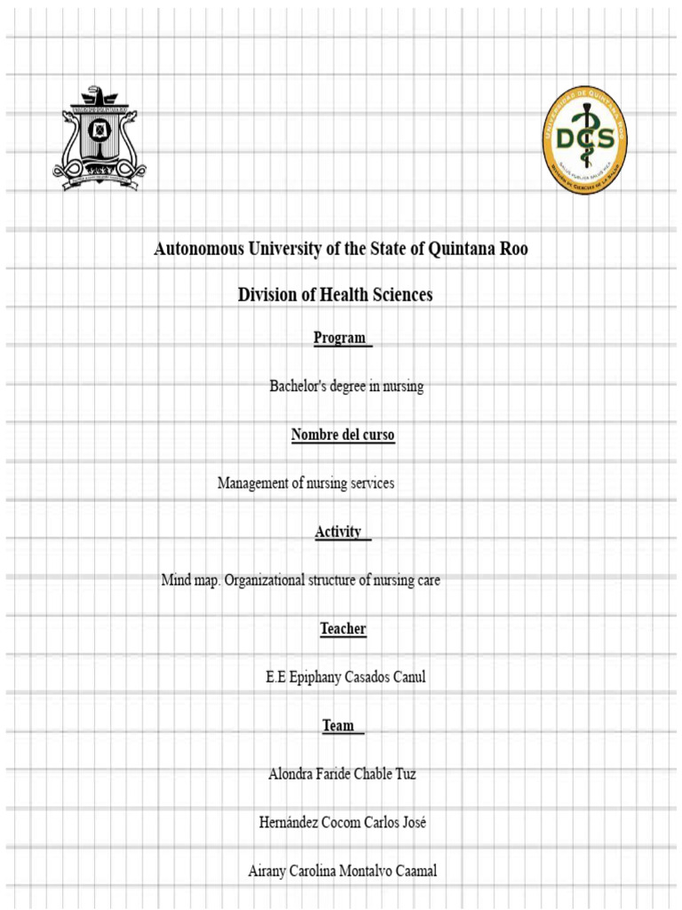 Mind Map Administration - Structure of The Nursing Hierarchy | PDF ...