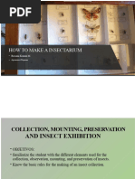 Insect Collection Labeling Guide | PDF | Insects | Arthropods
