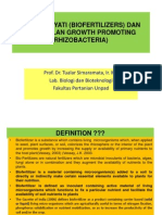 Download BIOTEK PERTANIAN II - Pupuk Hayati Dan PGPR  Biotransformasi C N P K S Fe Dan Mn by - SN94500944 doc pdf