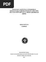 Download DPPH KLT by Rizki Septiani Yuarsa SN94502716 doc pdf