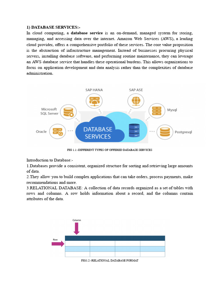 Final Report Cc | PDF | Information Science | Data Management